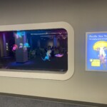 Scenic Community Credit Union hosts their All-Staff Meeting at the Tennessee Aquarium. Scenic Community Credit Union