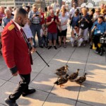 The Peabody Hotel's duckmaster leads the ducks during an exclusive rooftop duck march.