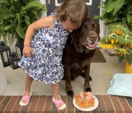 Mason Dog celebrates his 12th birthday.